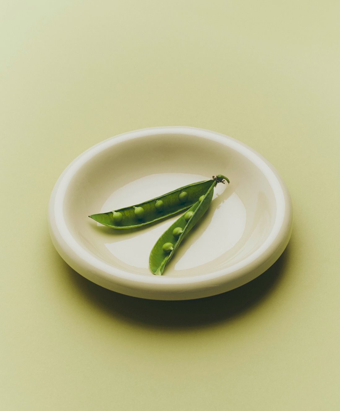 BARRO SALAD Bowl LARGE